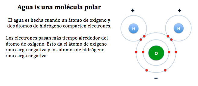 ¿Cómo se puede reconocer experimentalmente una sustancia polar de una no polar?