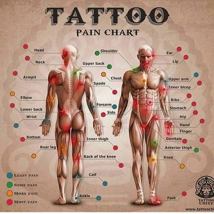 ¿Dónde es menos doloroso hacerse un tatuaje?