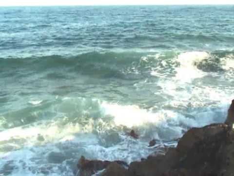 ¿Qué es el sonido de las olas?
