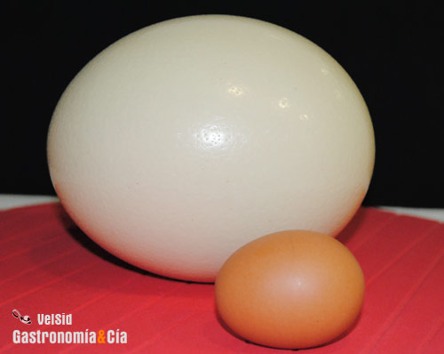 ¿A cuantos huevos de gallina corresponde un huevo de avestruz?