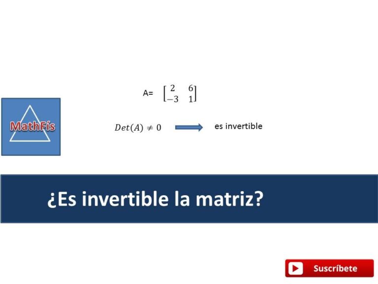¿Condición de invertibilidad de la matriz?