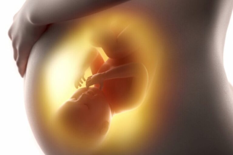 ¿Menos movimientos fetales al final del embarazo?