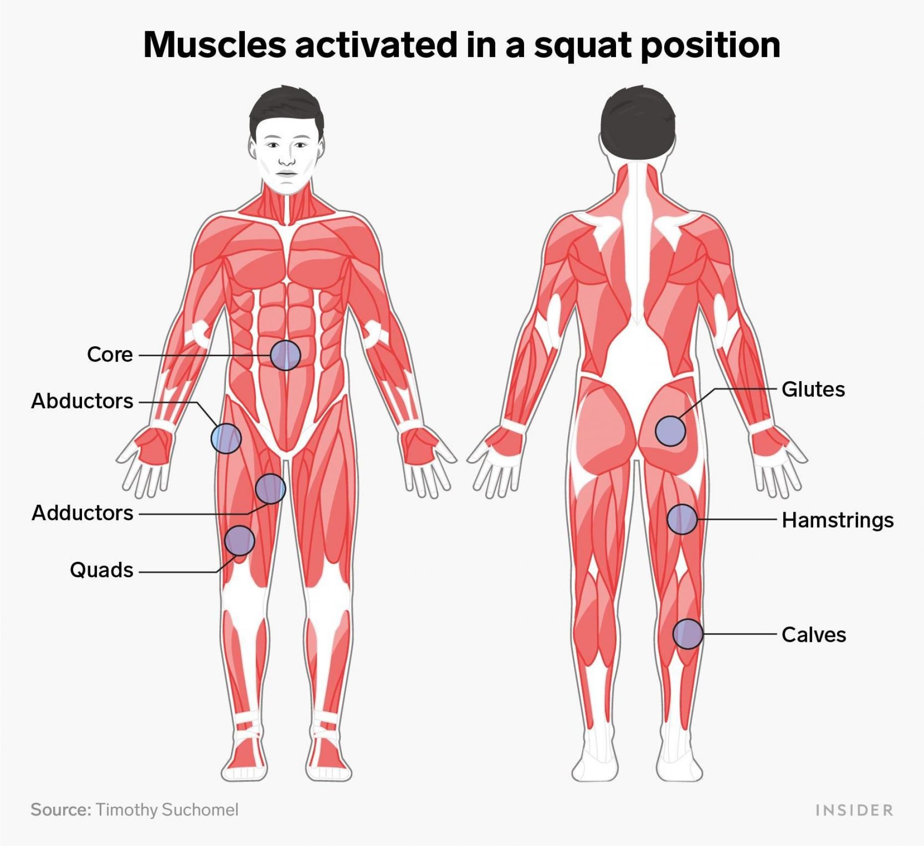 ¿Qué músculos entrenas al caminar?