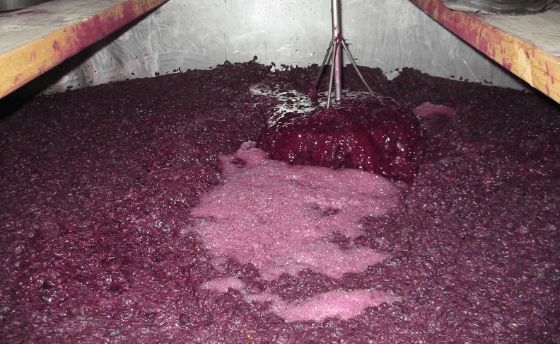 ¿Qué sucede durante la tumultuosa fermentación del mosto?